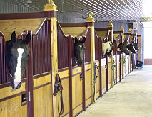 horse stall fronts